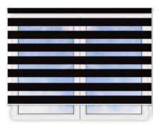 Стандартные рулонные шторы День Ночь Латина 1308 цена. Купить в «Мастерская Жалюзи»
